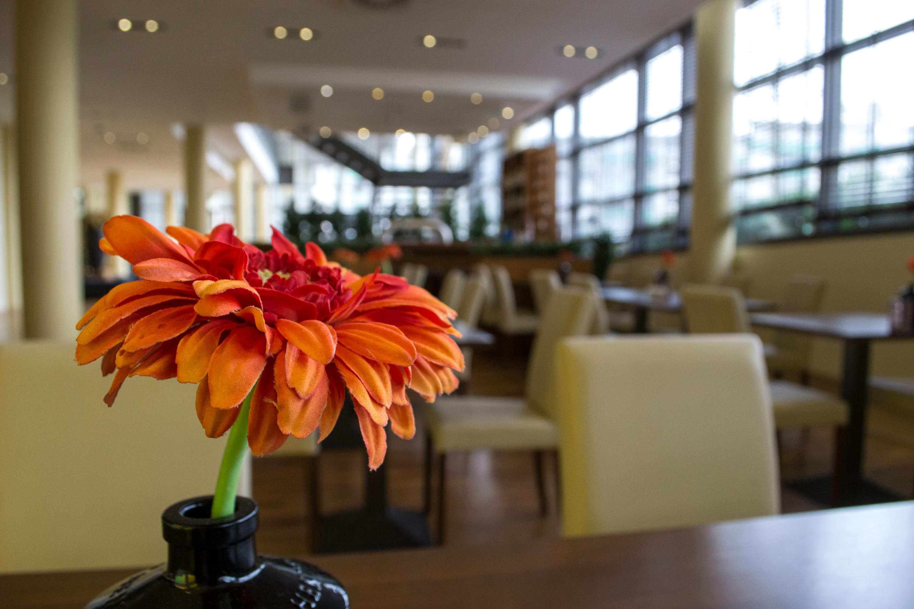 Relexa Hotel Ratingen City Экстерьер фото